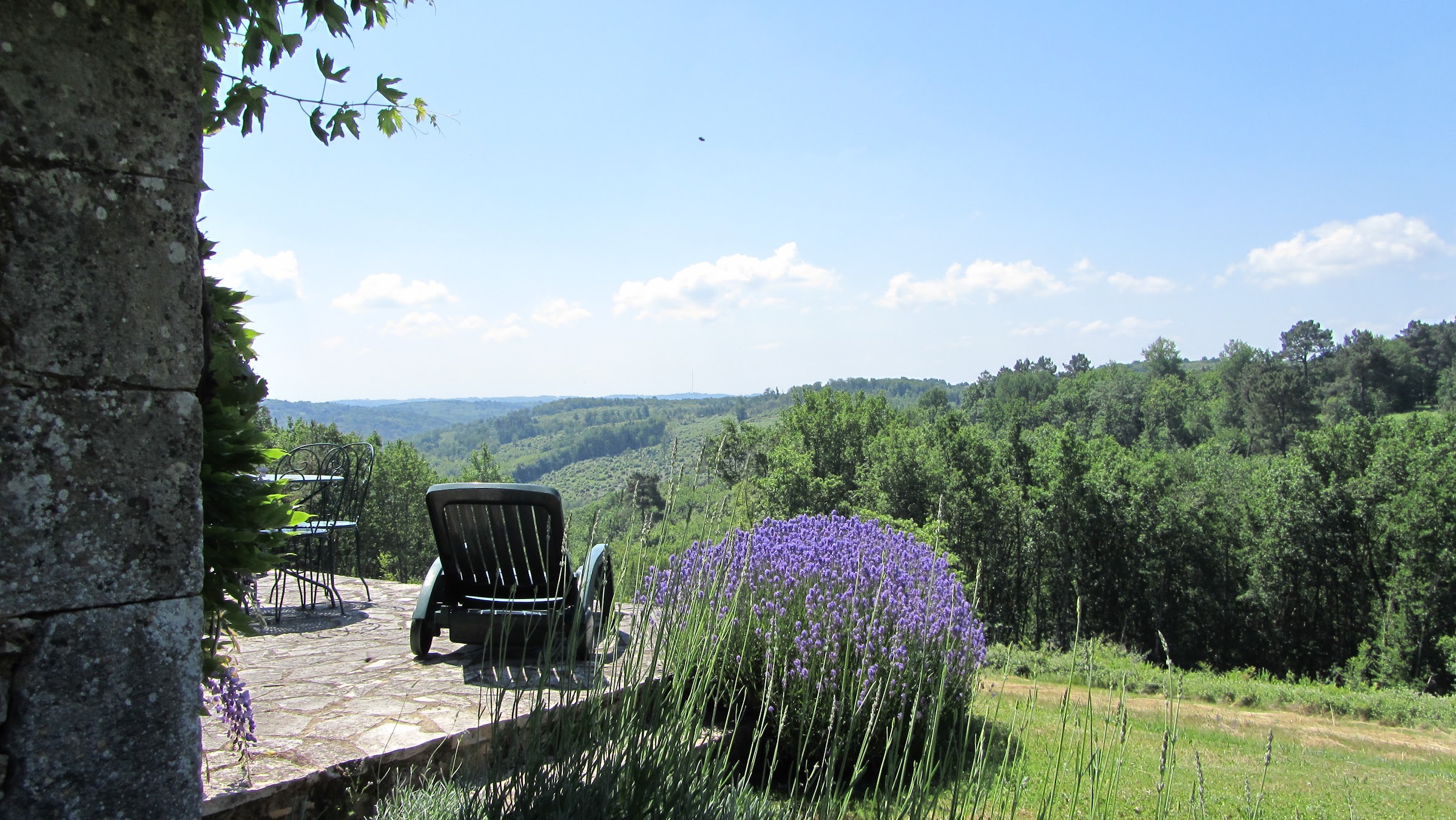 Champ fleuri et vue dégagée sur la campagne