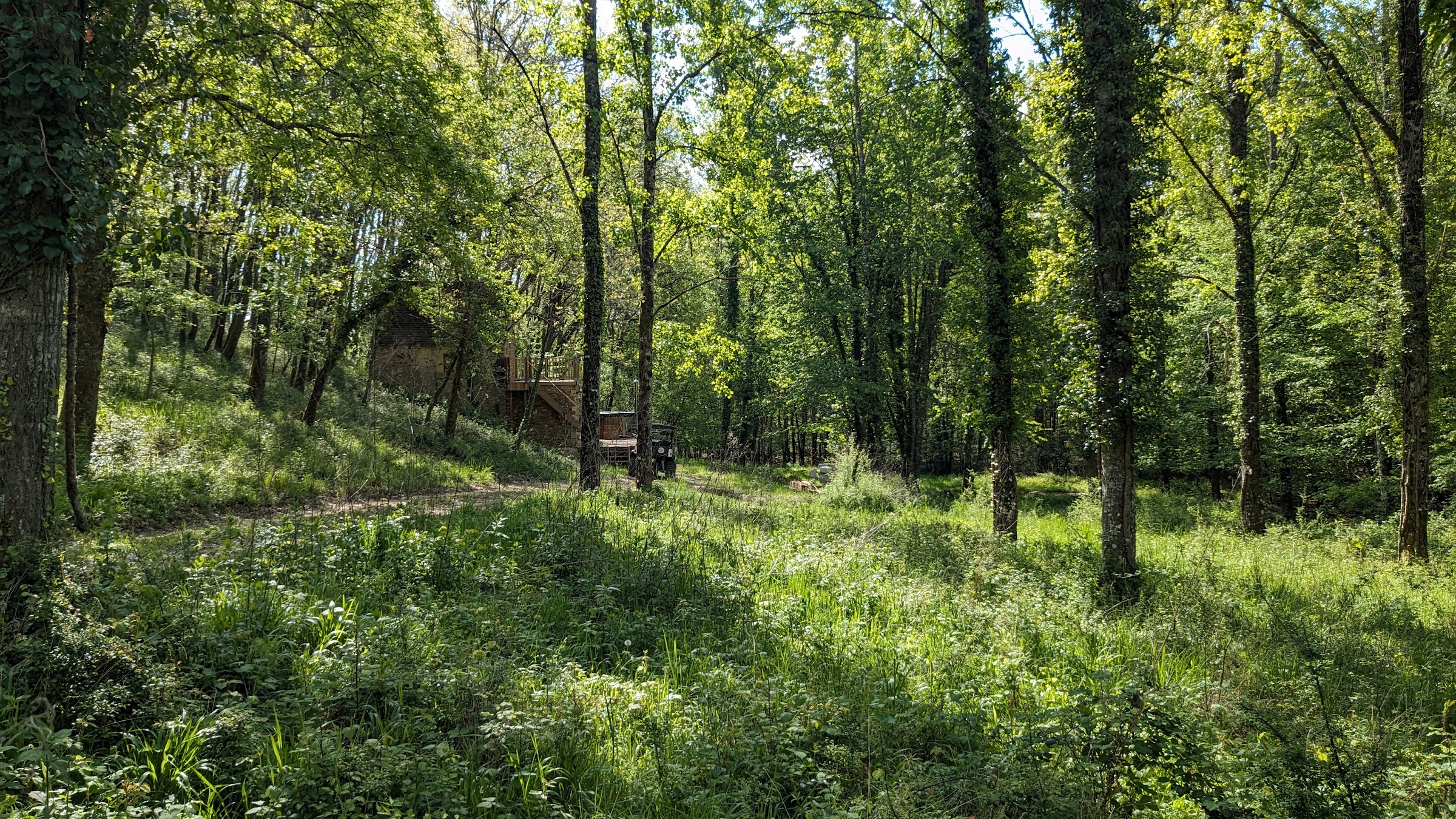 Sous-bois et sentier au cœur des 55 hectares de forêt
